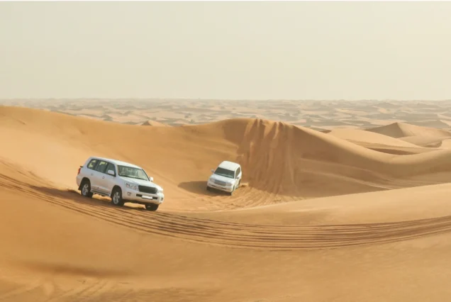 Private Desert Safari Dubai