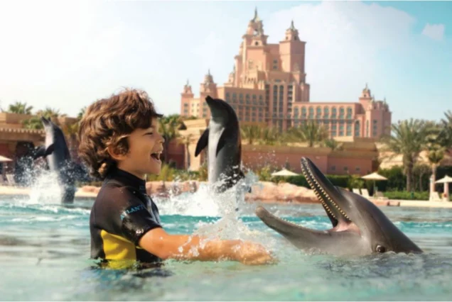 Dubai Dolphinarium Tickets