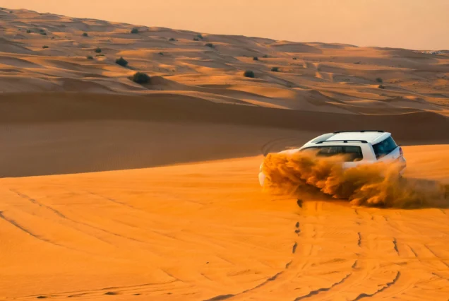 Desert Safari with Dune Bashing in Dubai