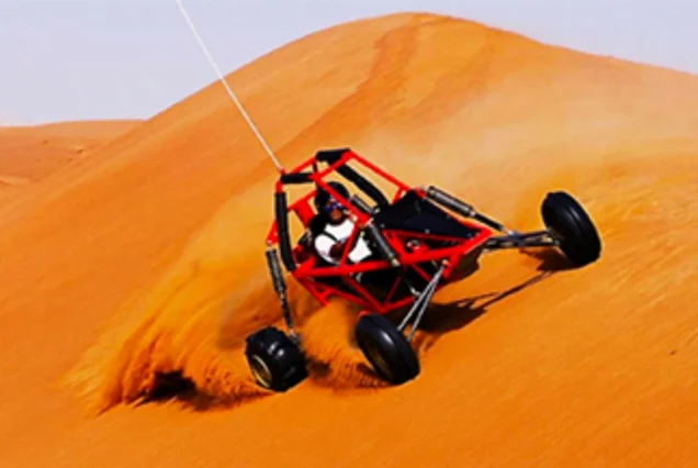 Desert Buggy Driving Experience