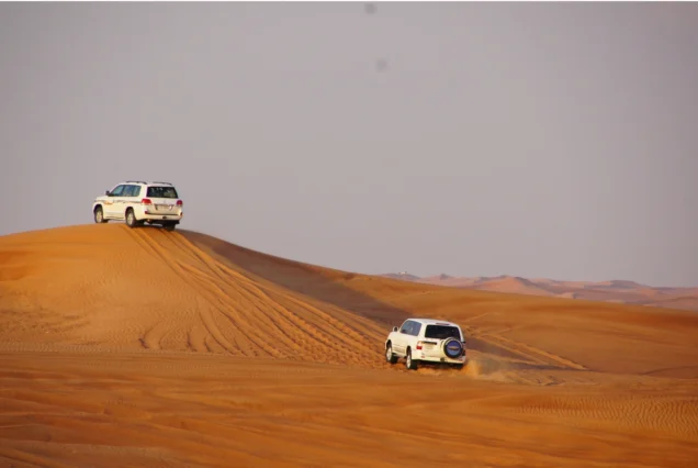 Evening Desert Safari