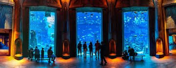 The Lost Chambers Aquarium Tickets